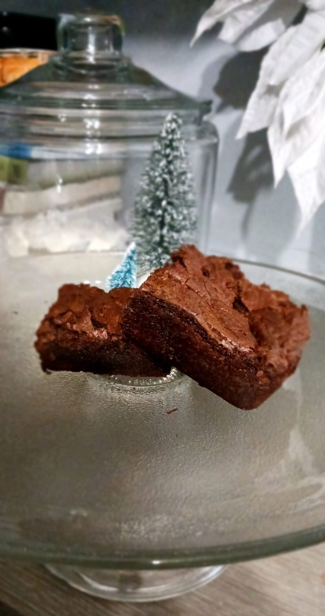 The Best Sourdough Brownies